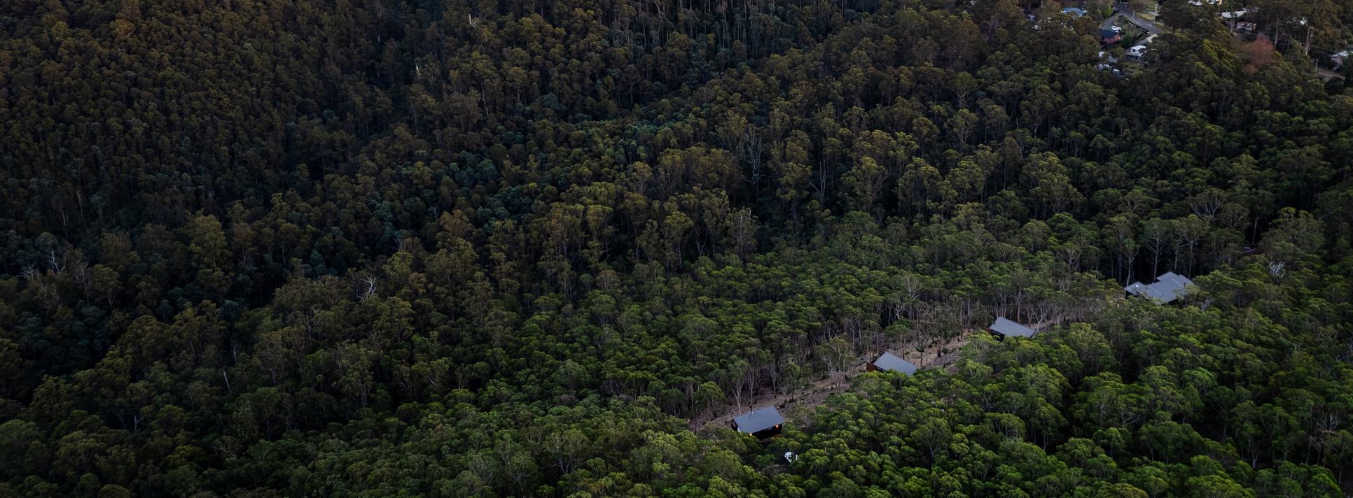 Aerial view of the Breath cabins nestled in the forest below kunanyi/Mount Wellington.