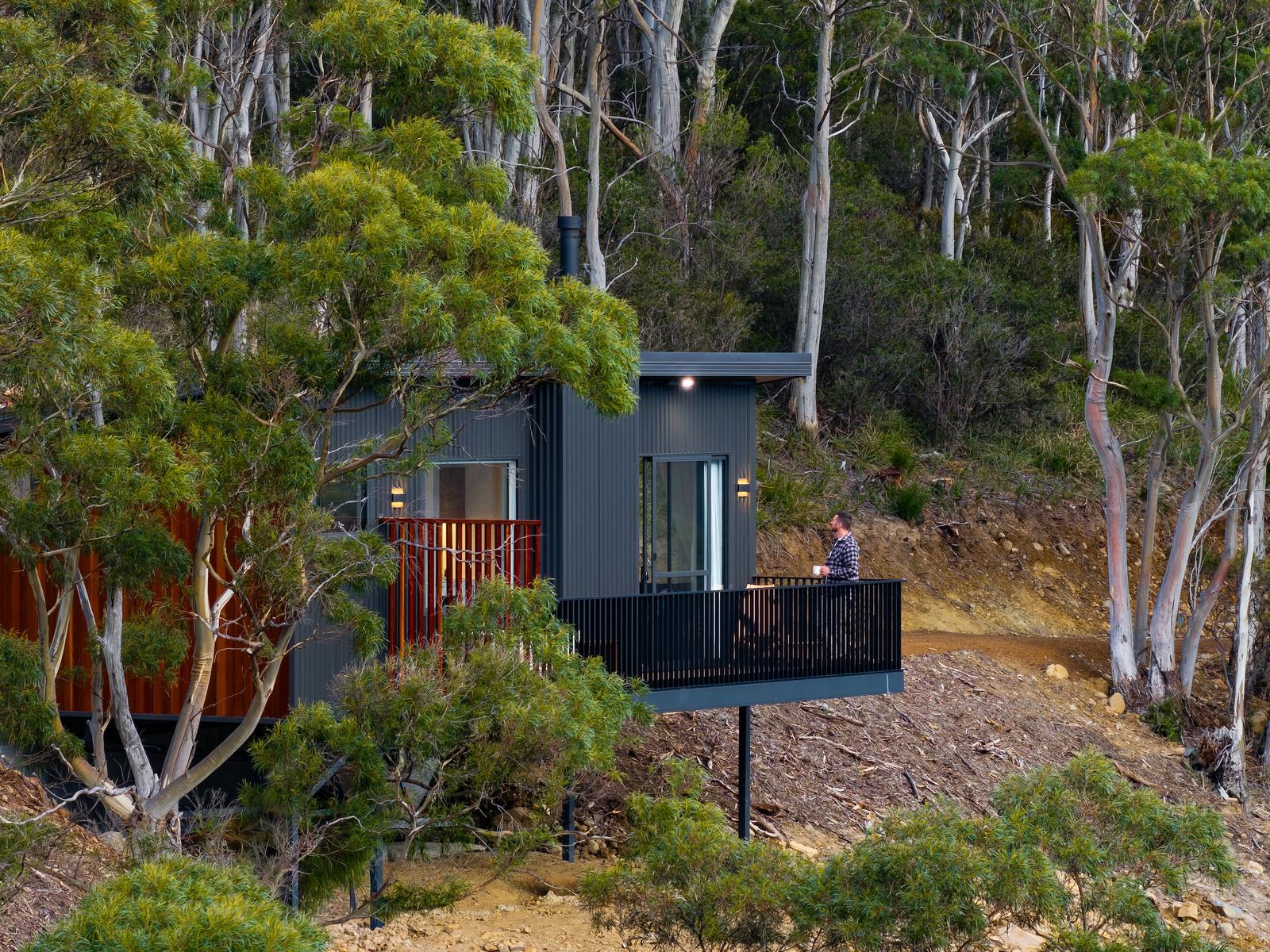 Person standing on a deck overlooking a forest of gumtrees