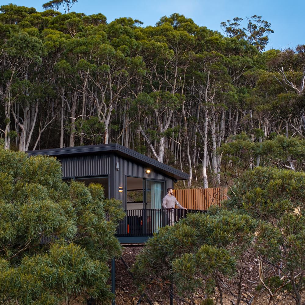 Ironbark cabin overlooking the forest