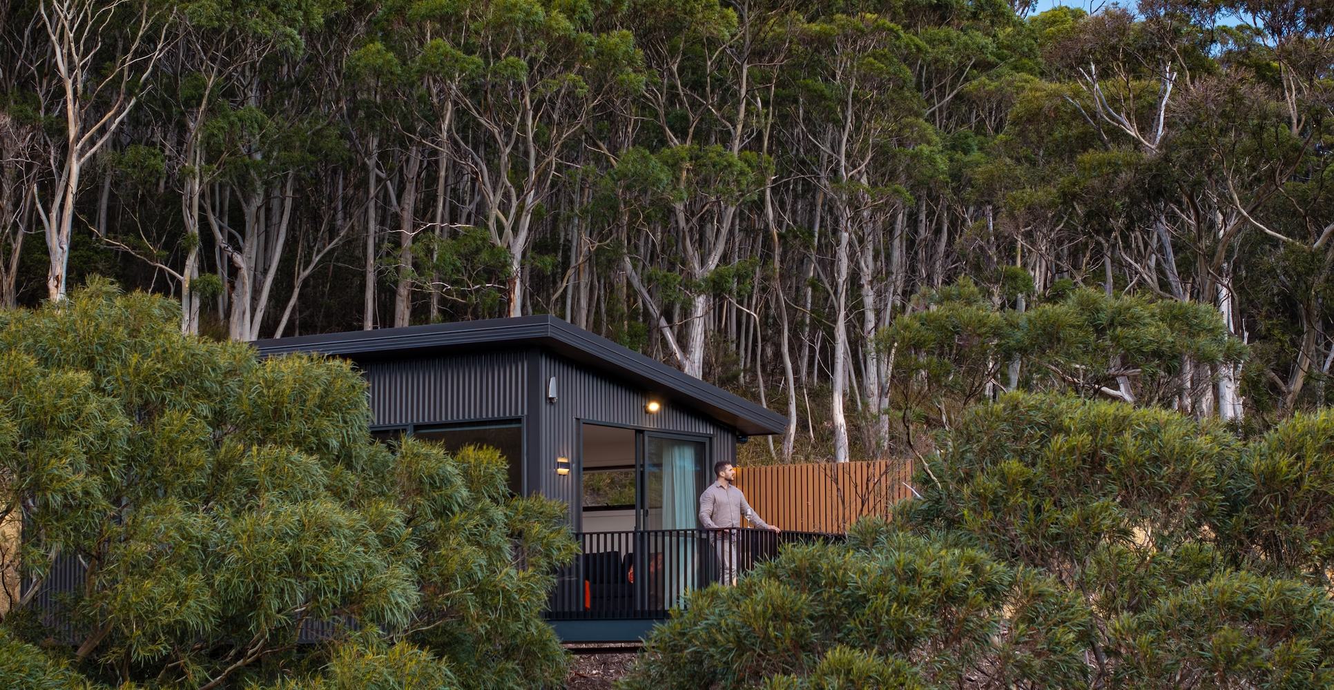 Ironbark cabin overlooking the forest
