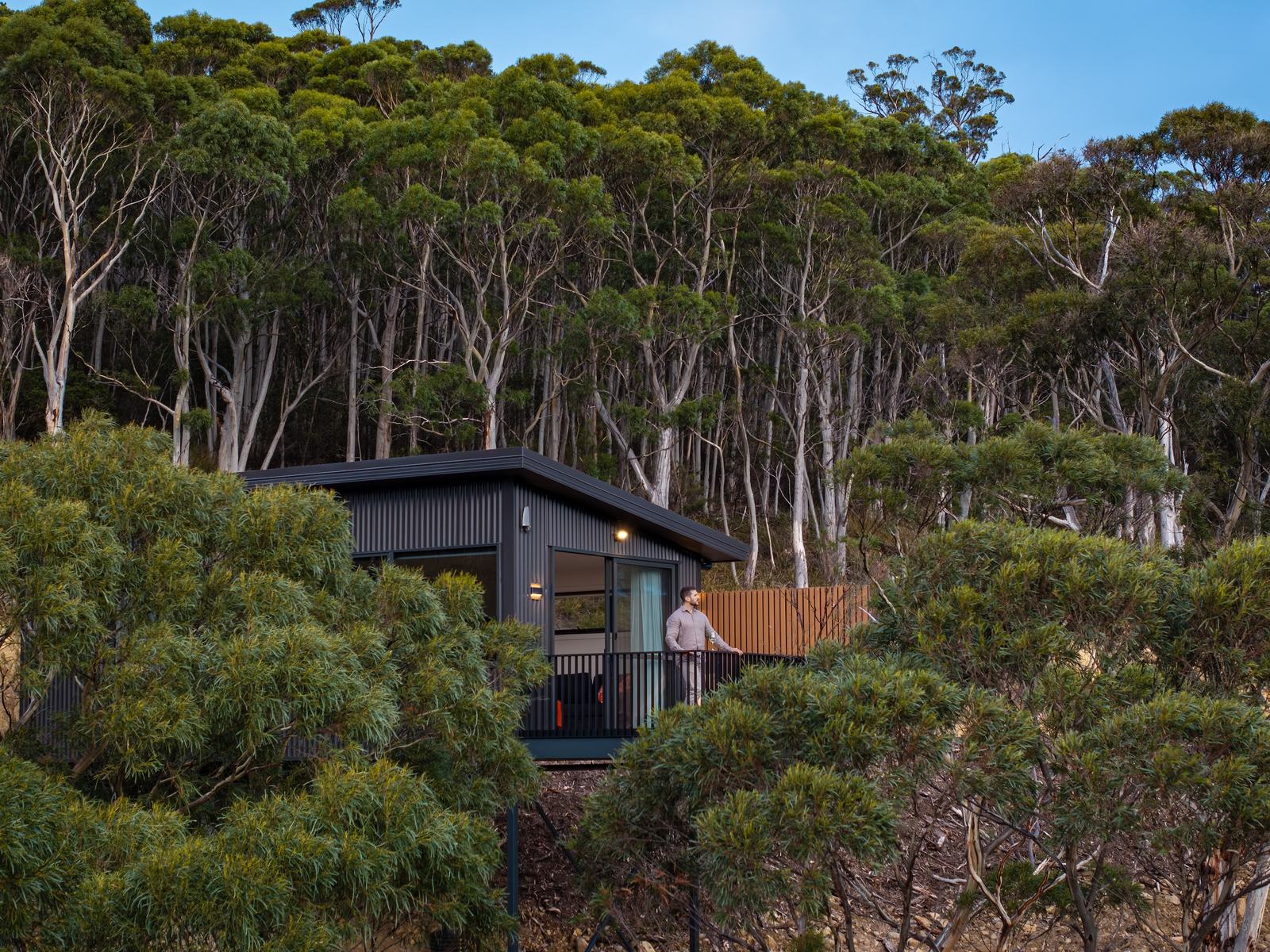 Ironbark cabin overlooking the forest