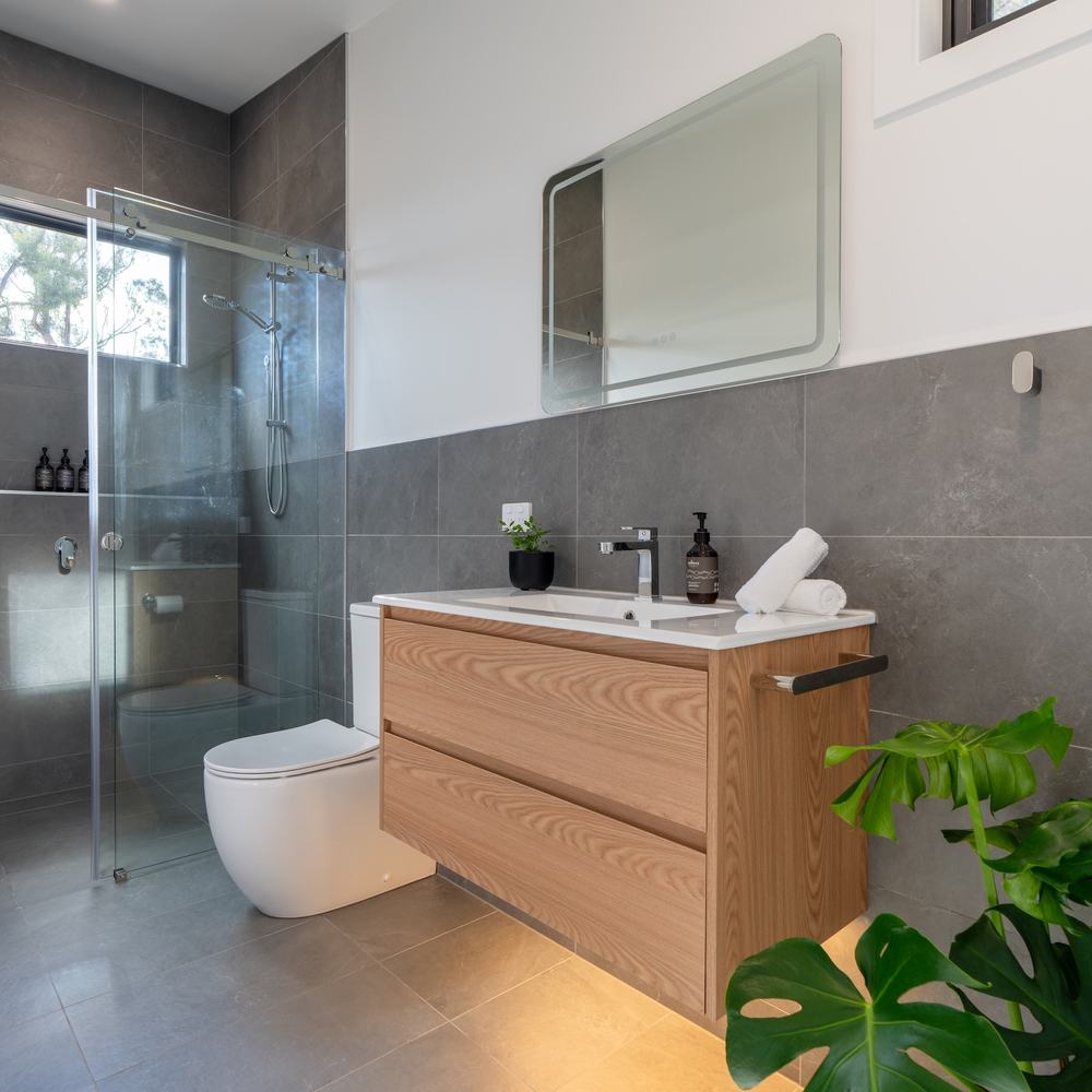 Ironbark bathroom large glass shower indoor plant and sink vanity