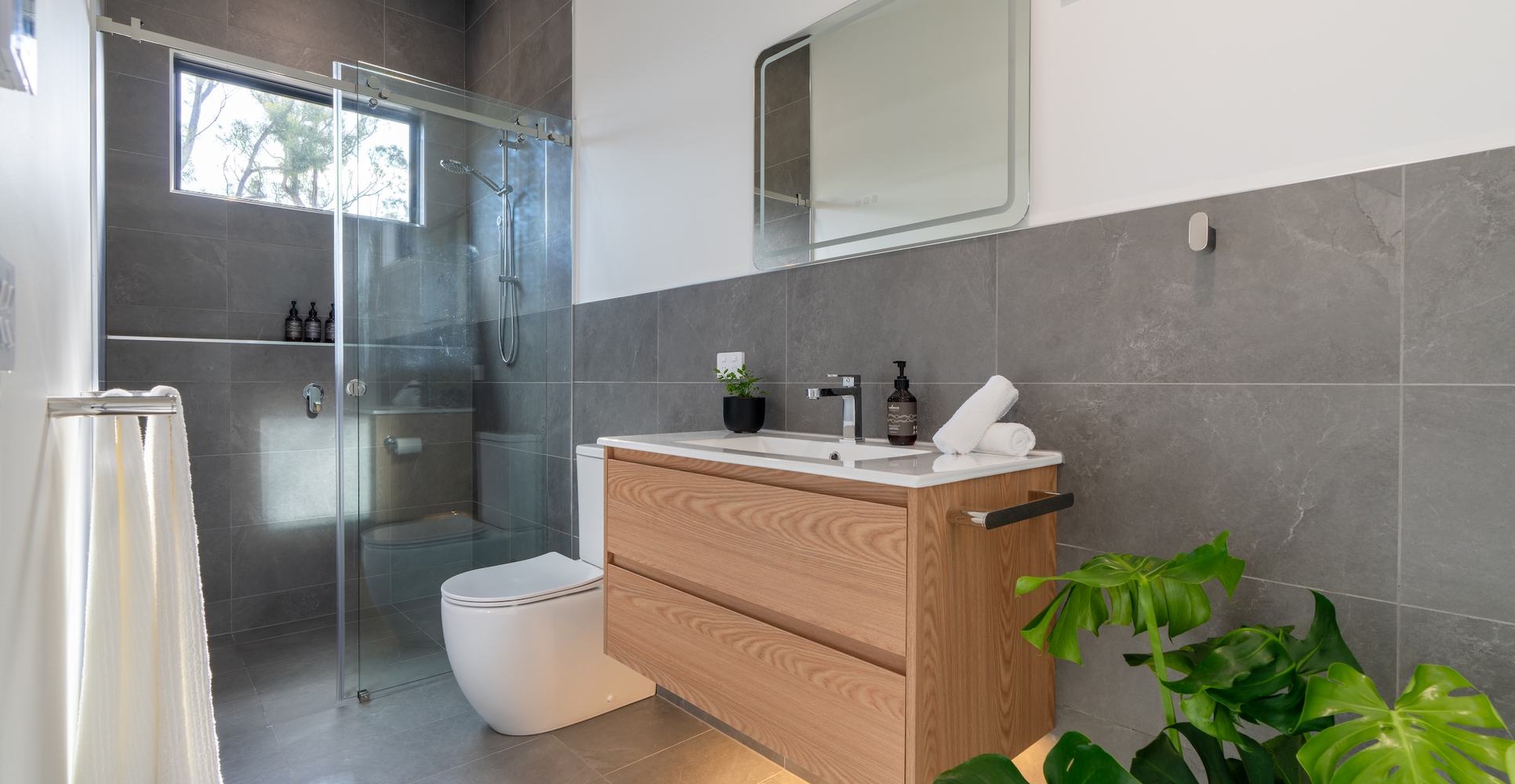 Ironbark bathroom large glass shower indoor plant and sink vanity