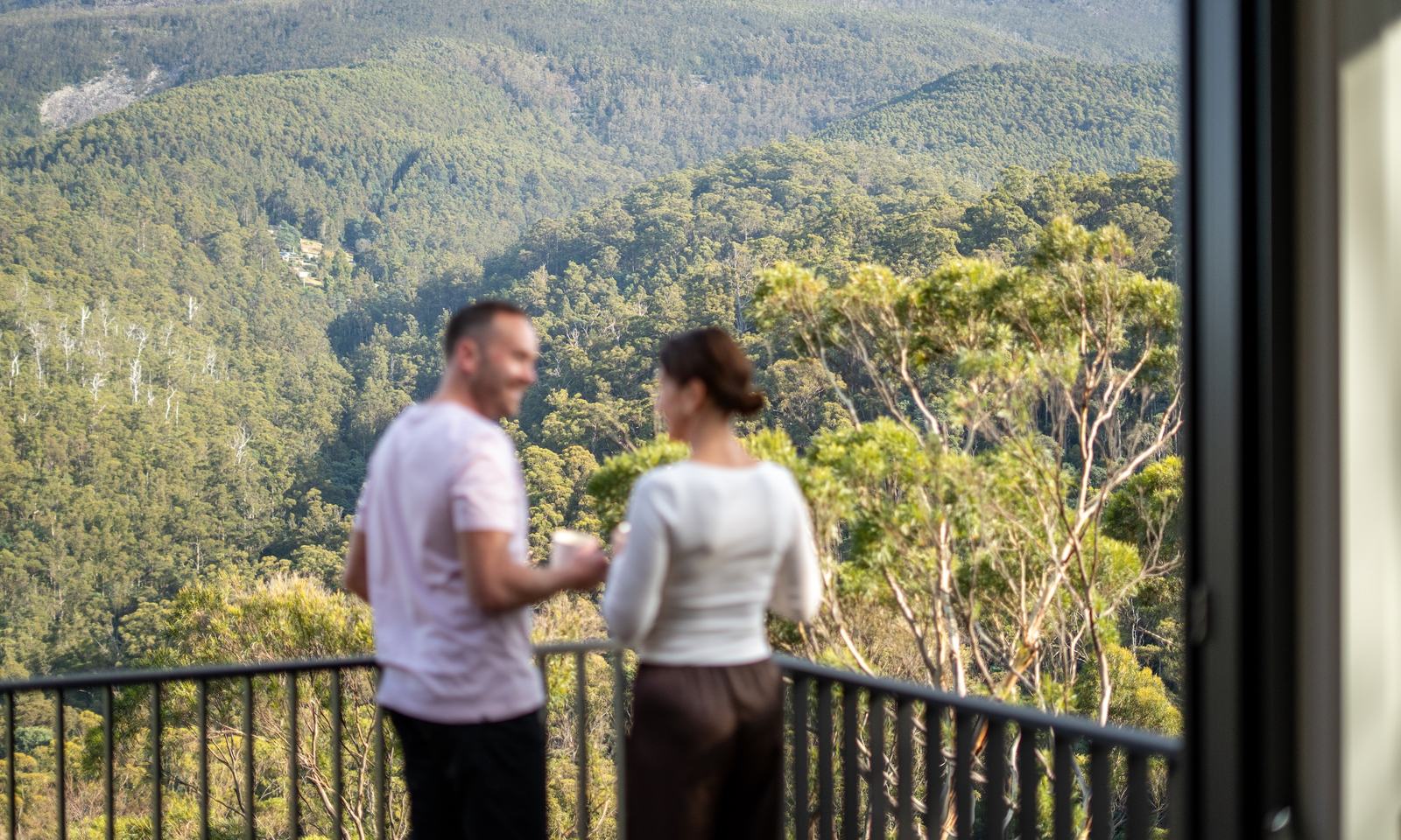 People standing on mosswood deck overlooking forest and mountains