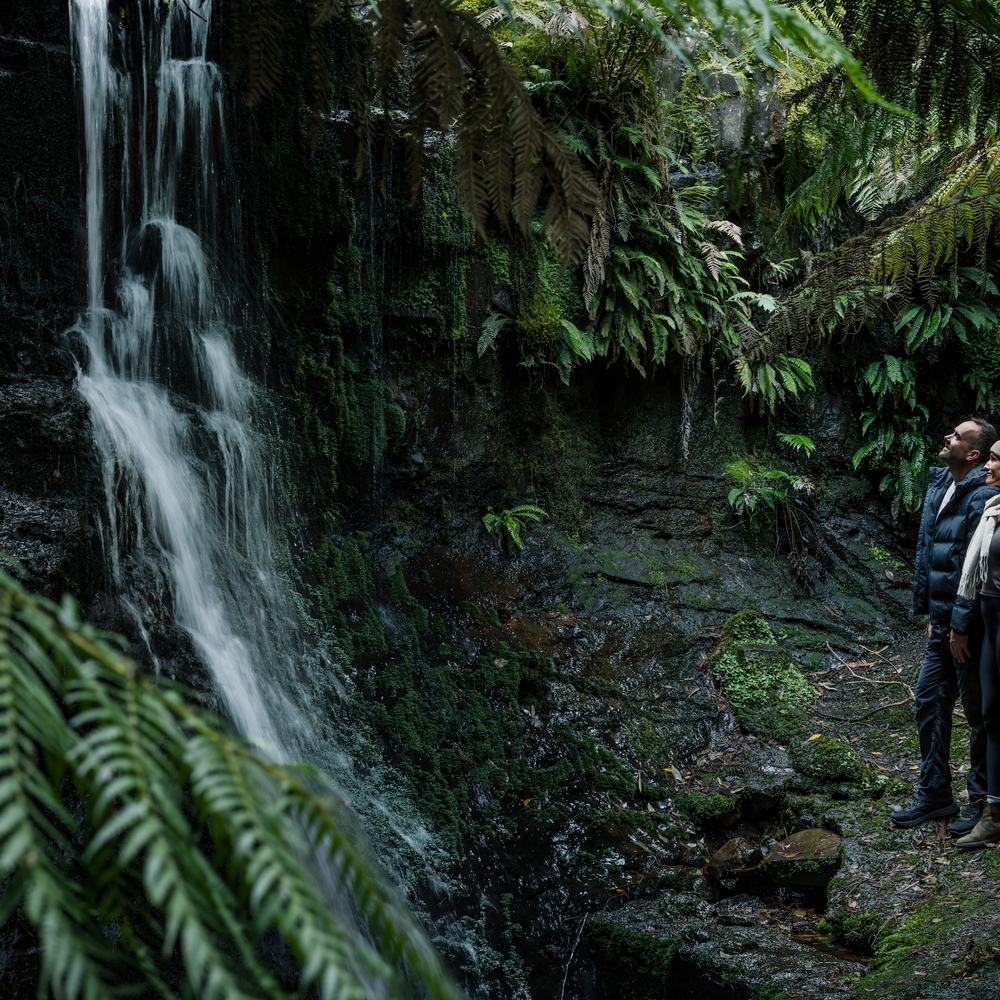 People standing by waterfall and ferns in tasmania