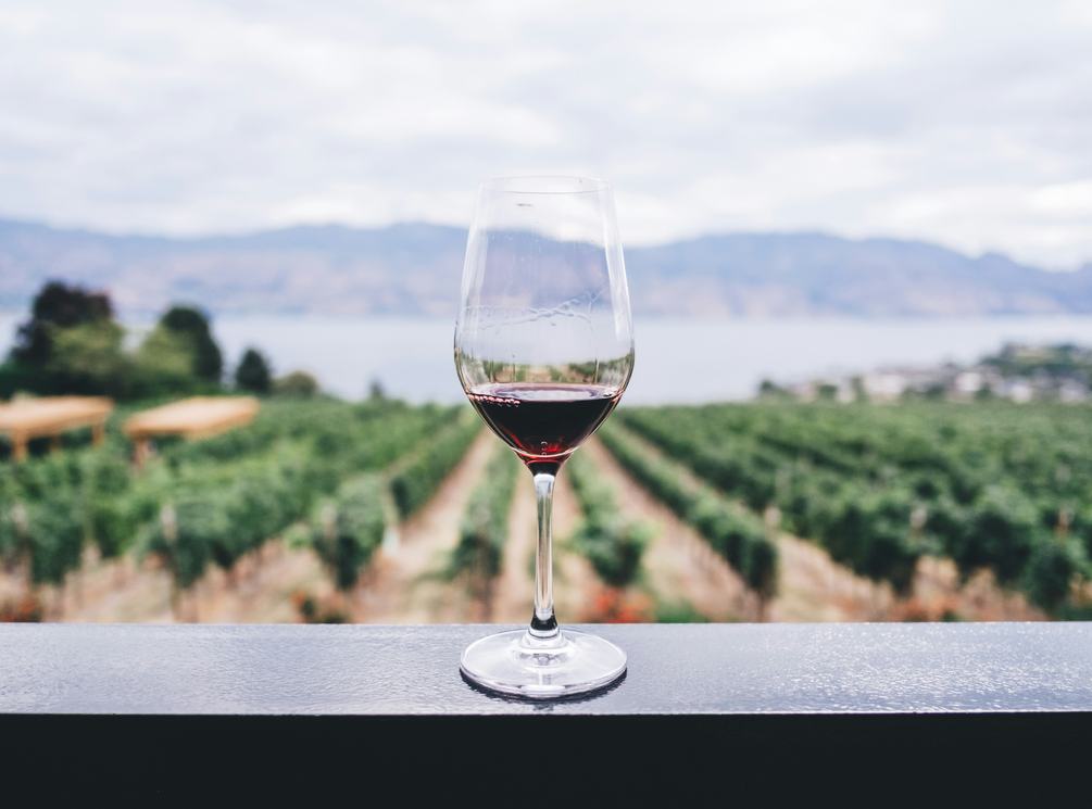 Red wine in glass overlooking winery