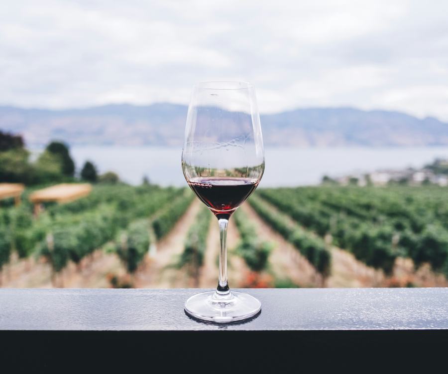 Red wine in glass overlooking winery